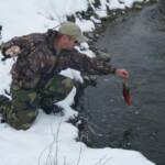 Spawning Kokanee 2007